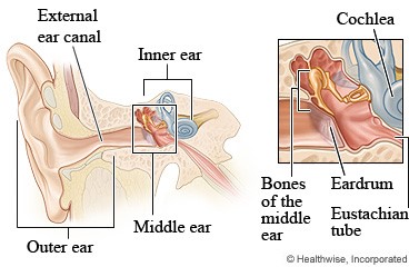 Diagram of outer, middle and inner ear