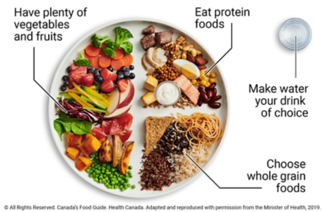 Sample meal plate showing 1/2 plate vegetables and fruit, 1/4 plate protein foods, and 1/4 plate whole grain foods, with water as drink.
