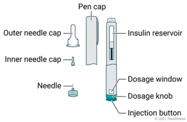 Insulin pen parts, including needle, inner and outer needle cap, pen cap, insulin reservoir, dosage window, dosage knob, and injection button.