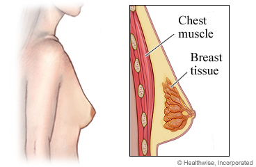 Chest muscle and breast tissue