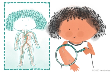 Bea holds a magnifying glass over her arm to show veins, next to a picture of veins inside the body.