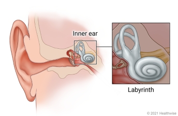 Parts of the ear, with close-up of the labyrinth in inner ear.