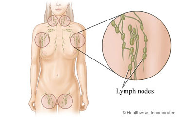 Lymph nodes throughout the body