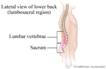 Lumbosacral region of the spine (lower back)