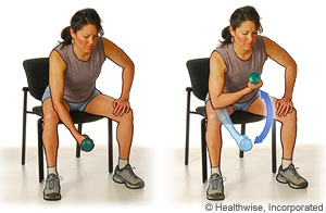 Picture of the bicep curls exercise