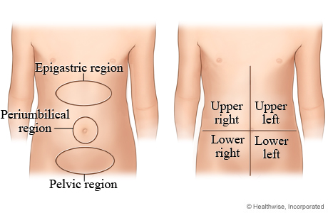 Abdominal quadrants and regions in a child.