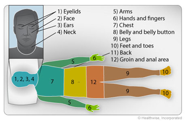 Zones of body to show order of washing