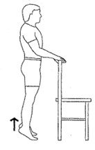 person standing, holding onto surface, raising both heels
