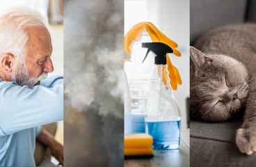 Common COPD triggers, showing man sneezing, smoke, household chemicals, and cat.