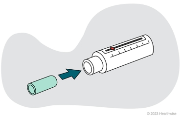 A mouthpiece and a peak flow meter.