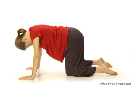 Person on hands and knees. Person on hands and knees.